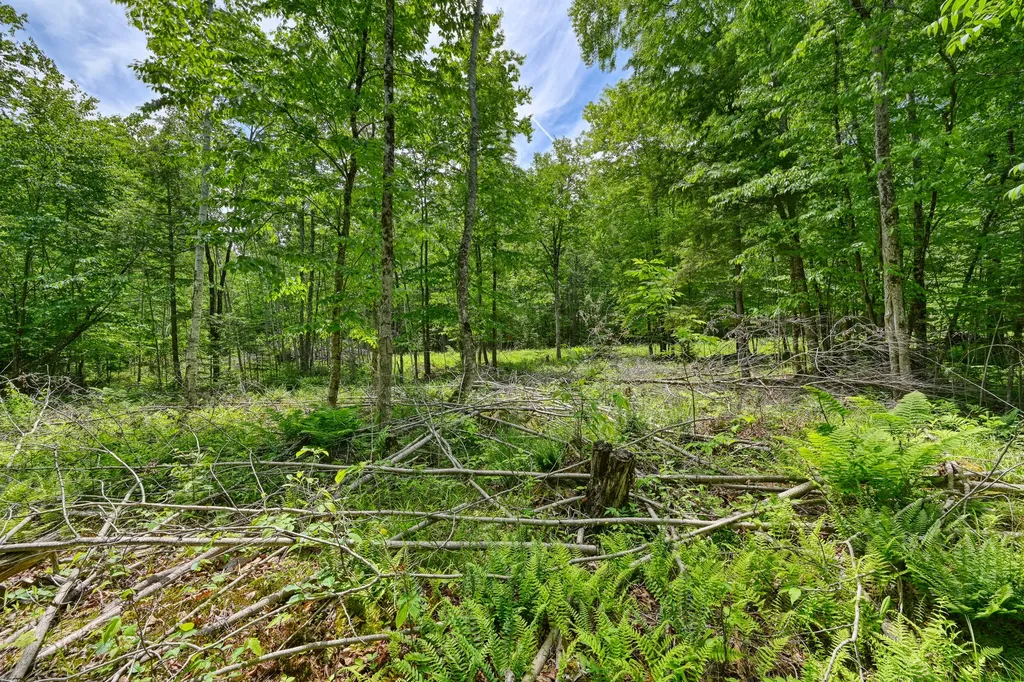 0 Macomber Road Readfield ME 04355
