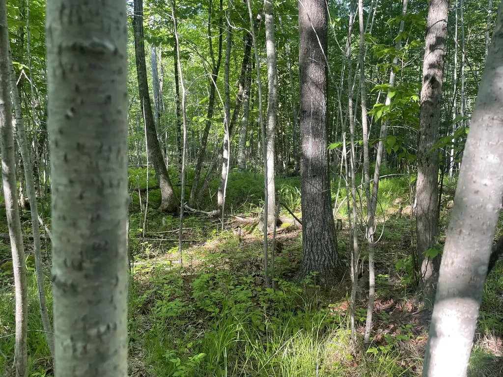 0 Macomber Road Readfield ME 04355