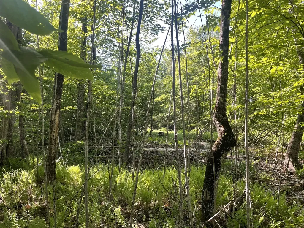 0 Macomber Road Readfield ME 04355