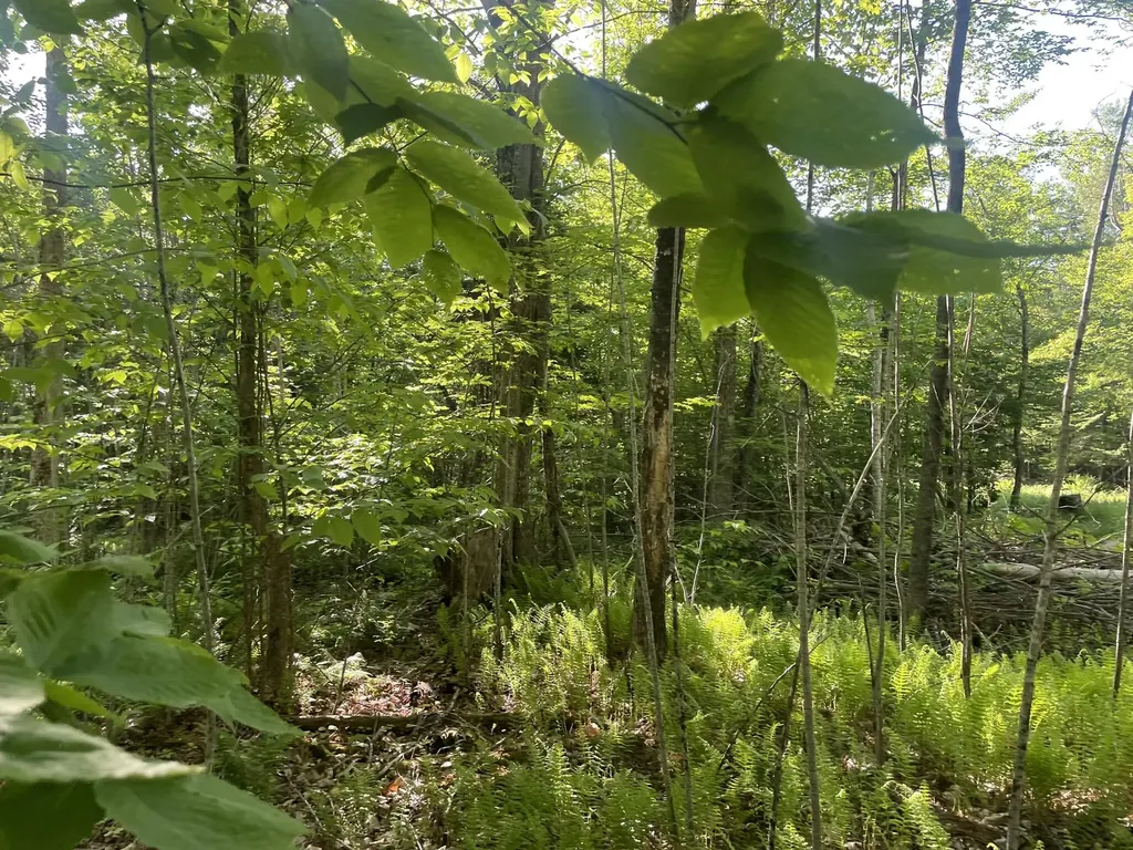 0 Macomber Road Readfield ME 04355