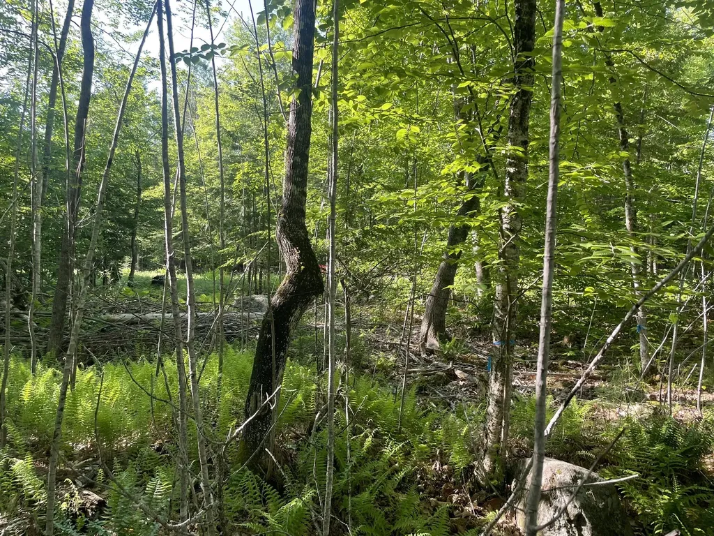 0 Macomber Road Readfield ME 04355