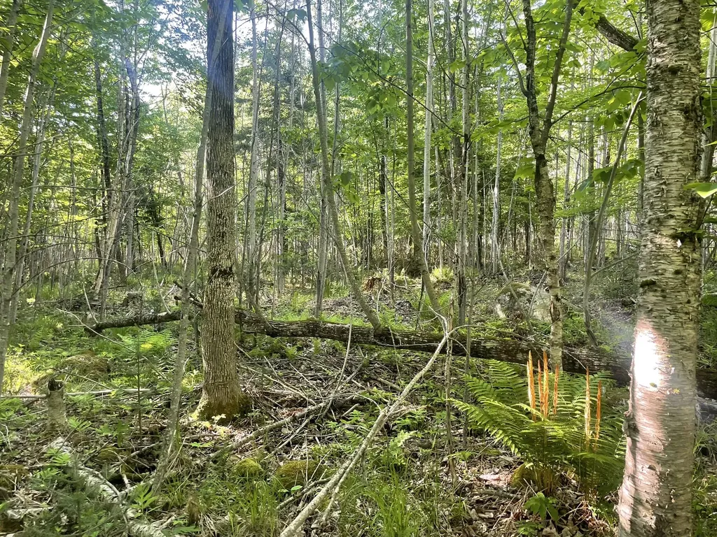 0 Macomber Road Readfield ME 04355