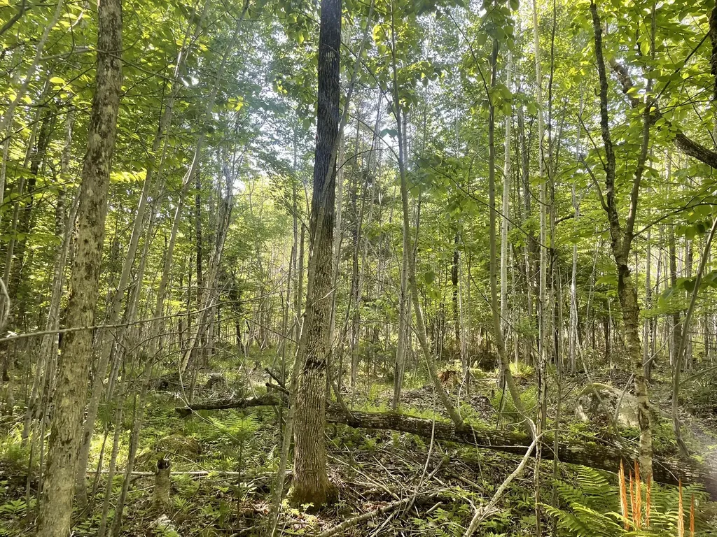 0 Macomber Road Readfield ME 04355