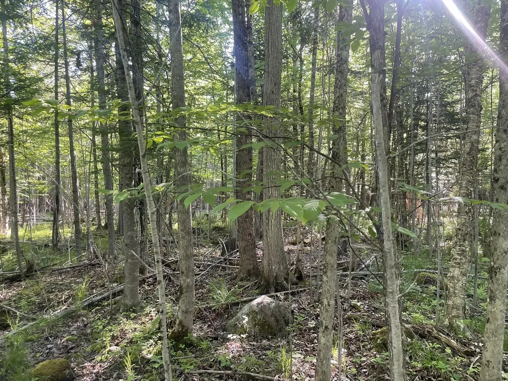 0 Macomber Road Readfield ME 04355