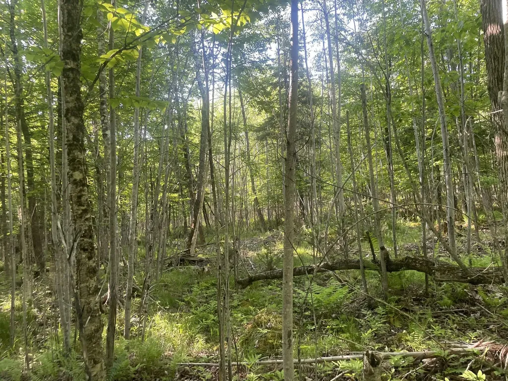 0 Macomber Road Readfield ME 04355