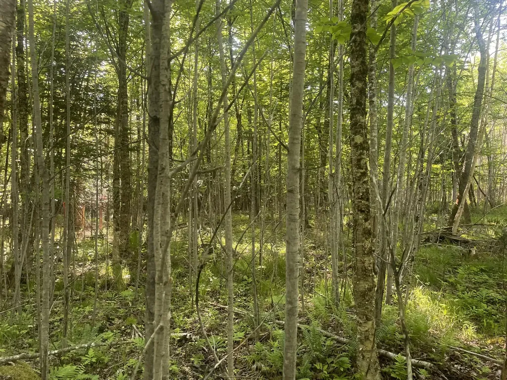 0 Macomber Road Readfield ME 04355