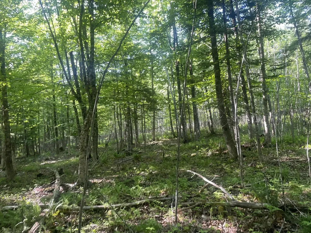 0 Macomber Road Readfield ME 04355