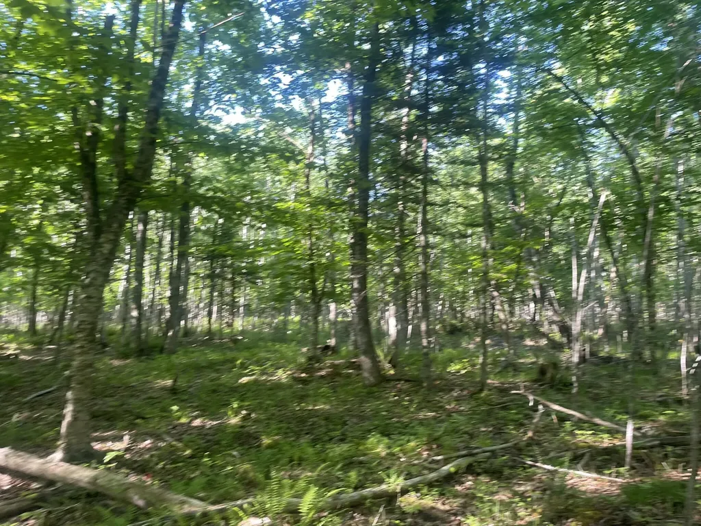 0 Macomber Road Readfield ME 04355