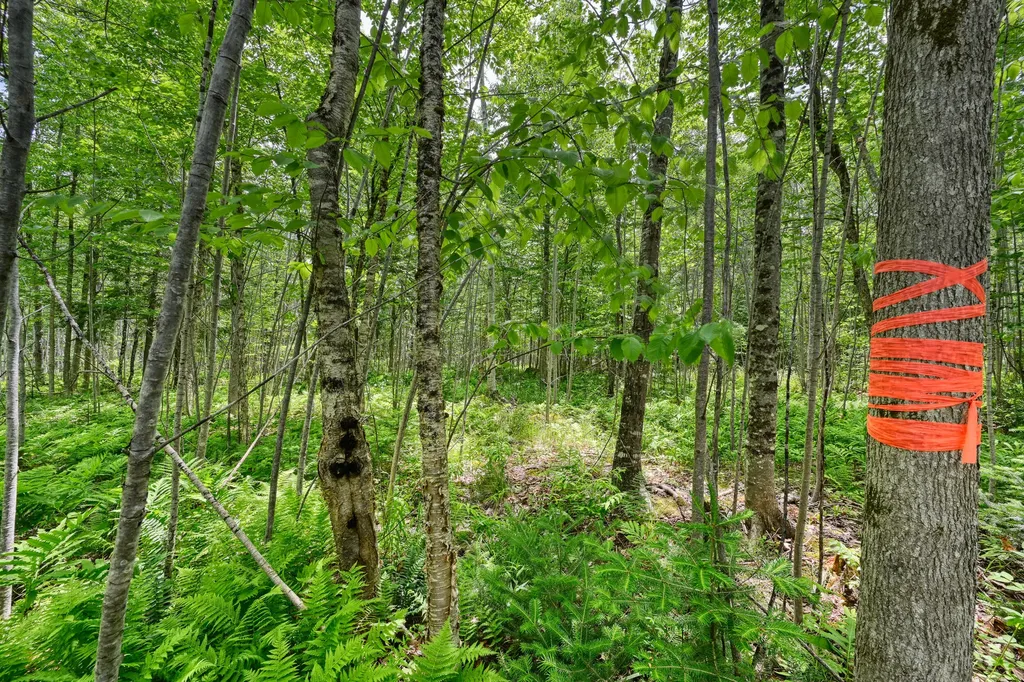 0 Macomber Road Readfield ME 04355