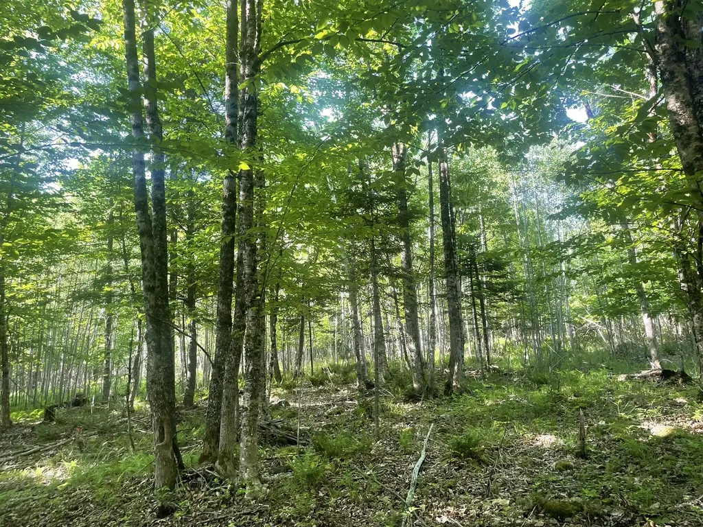 0 Macomber Road Readfield ME 04355