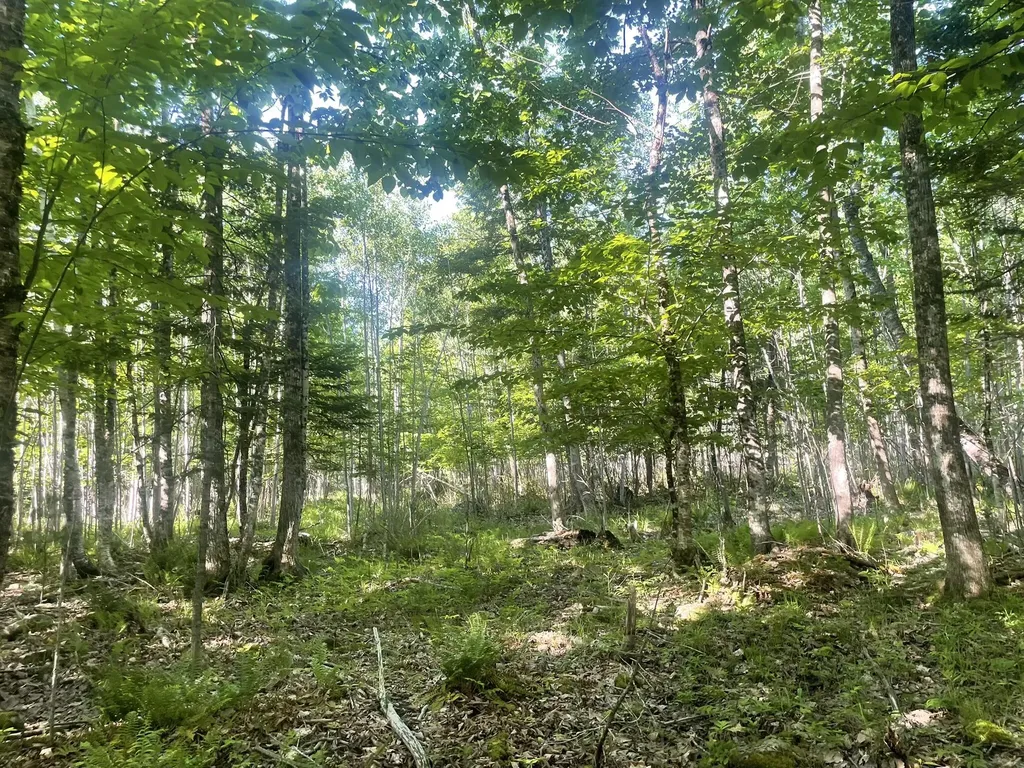 0 Macomber Road Readfield ME 04355