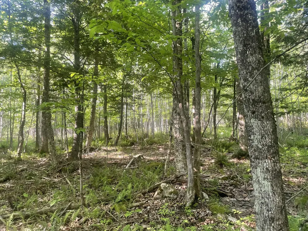 0 Macomber Road Readfield ME 04355
