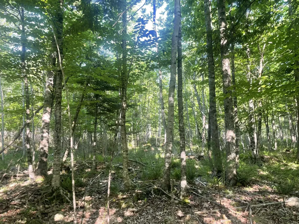 0 Macomber Road Readfield ME 04355