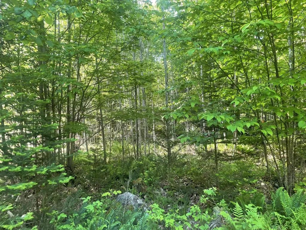 0 Macomber Road Readfield ME 04355