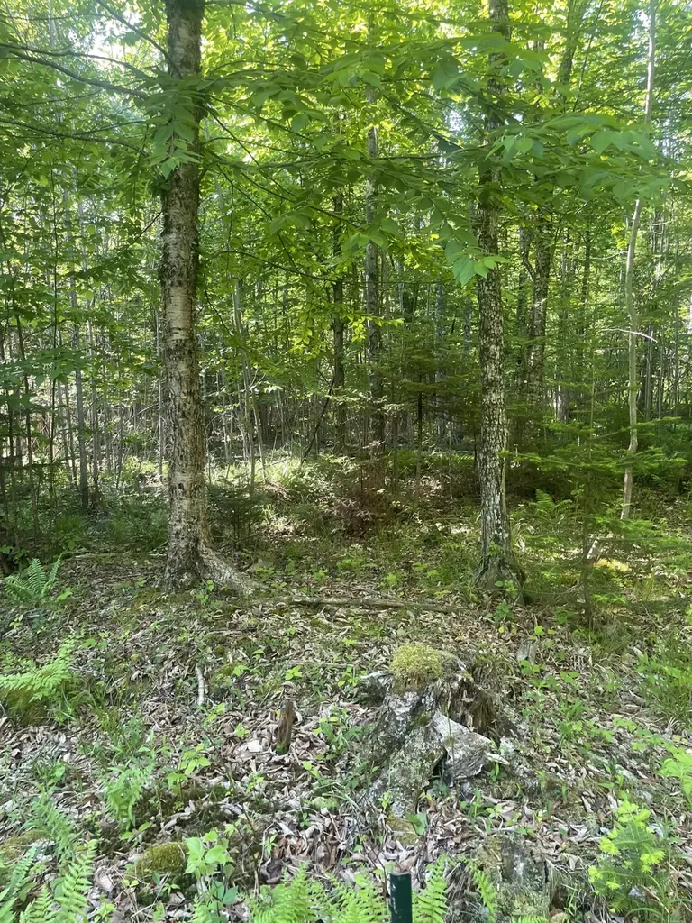 0 Macomber Road Readfield ME 04355