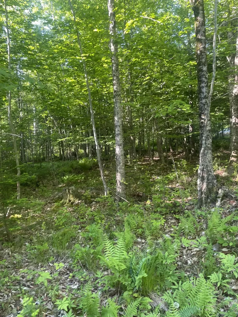 0 Macomber Road Readfield ME 04355