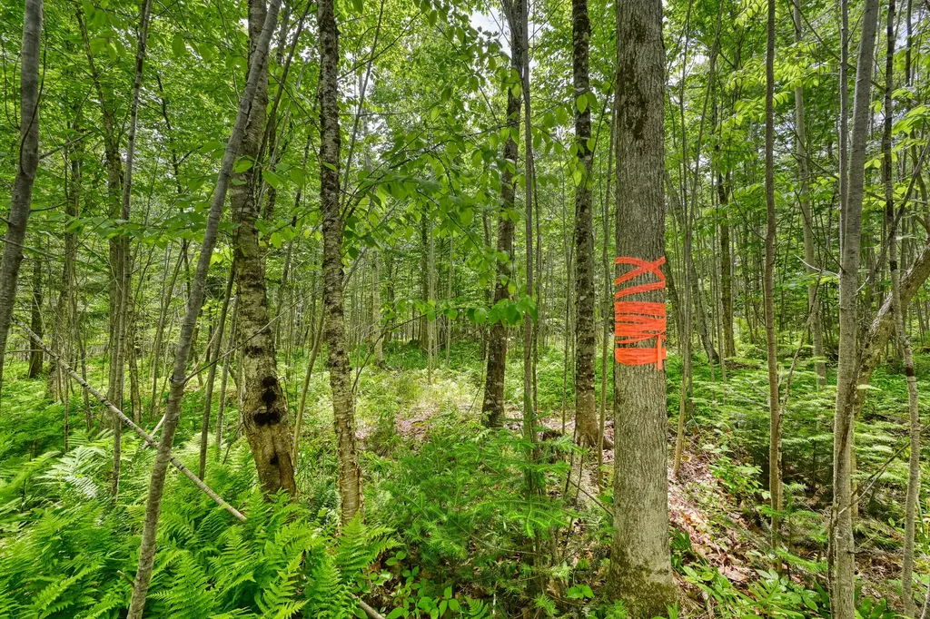 0 Macomber Road Readfield ME 04355