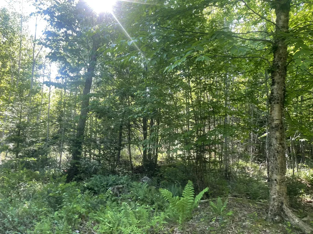 0 Macomber Road Readfield ME 04355