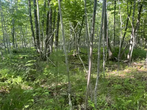 0 Macomber Road Readfield ME 04355