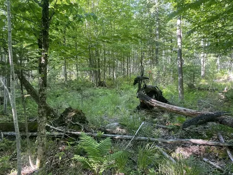 0 Macomber Road Readfield ME 04355