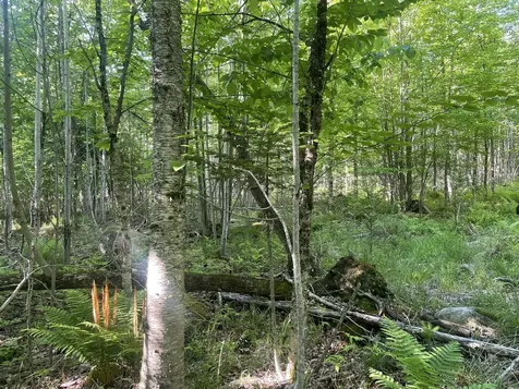 0 Macomber Road Readfield ME 04355
