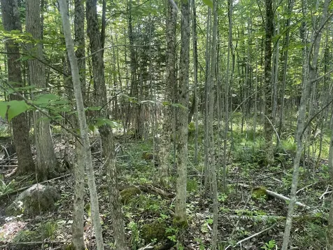 0 Macomber Road Readfield ME 04355