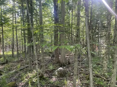 0 Macomber Road Readfield ME 04355