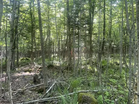 0 Macomber Road Readfield ME 04355