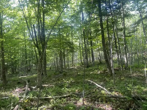 0 Macomber Road Readfield ME 04355