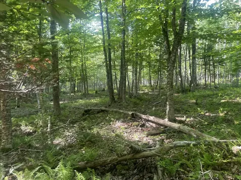 0 Macomber Road Readfield ME 04355