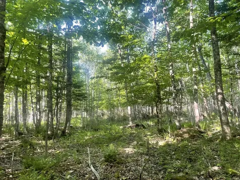 0 Macomber Road Readfield ME 04355