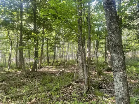 0 Macomber Road Readfield ME 04355