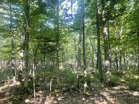 0 Macomber Road Readfield ME 04355