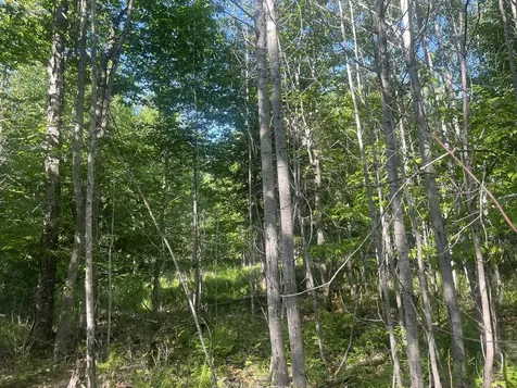 0 Macomber Road Readfield ME 04355
