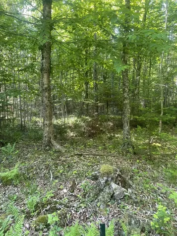 0 Macomber Road Readfield ME 04355