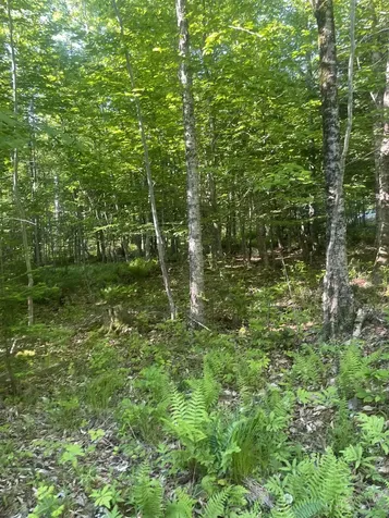 0 Macomber Road Readfield ME 04355