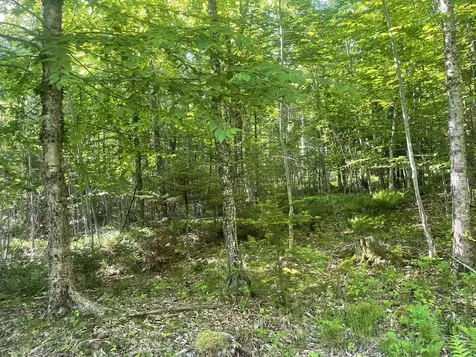 0 Macomber Road Readfield ME 04355