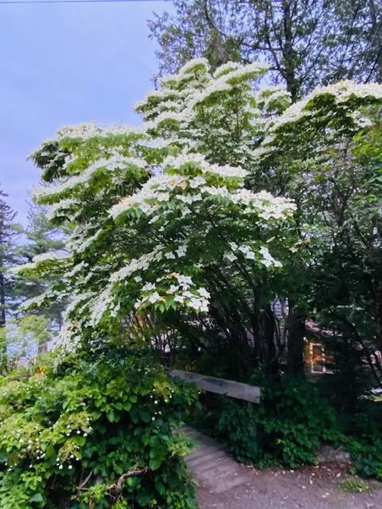 70 Twin Hills Road Penobscot ME 04476