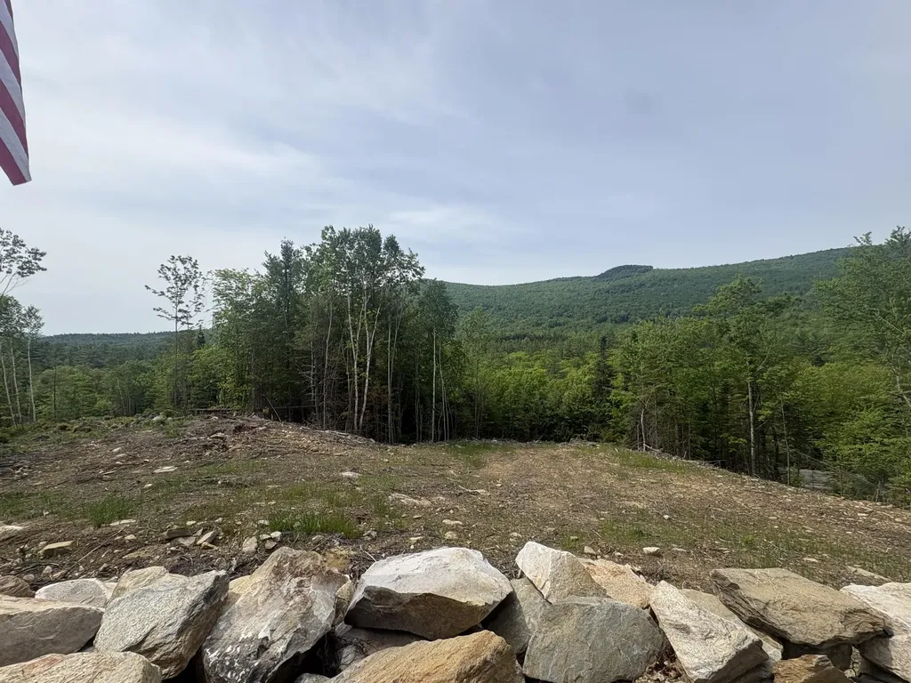 MAP10LOT13 Swift River Road Byron ME 04275