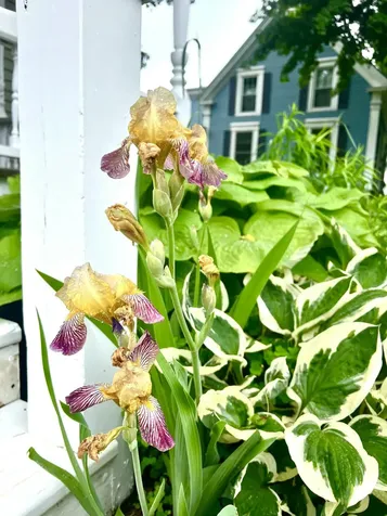 101 Pleasant Street Dover-foxcroft ME 04426