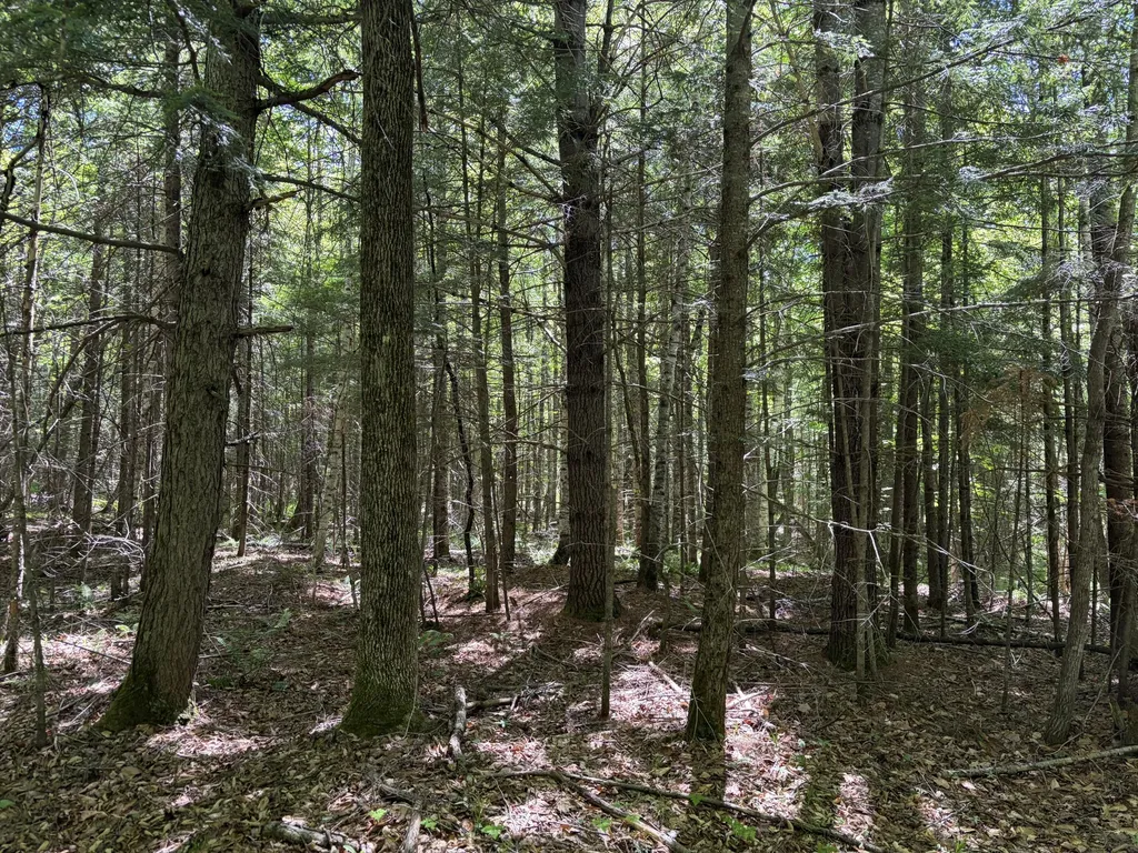 Lot 1 Holley Road Farmington ME 04938