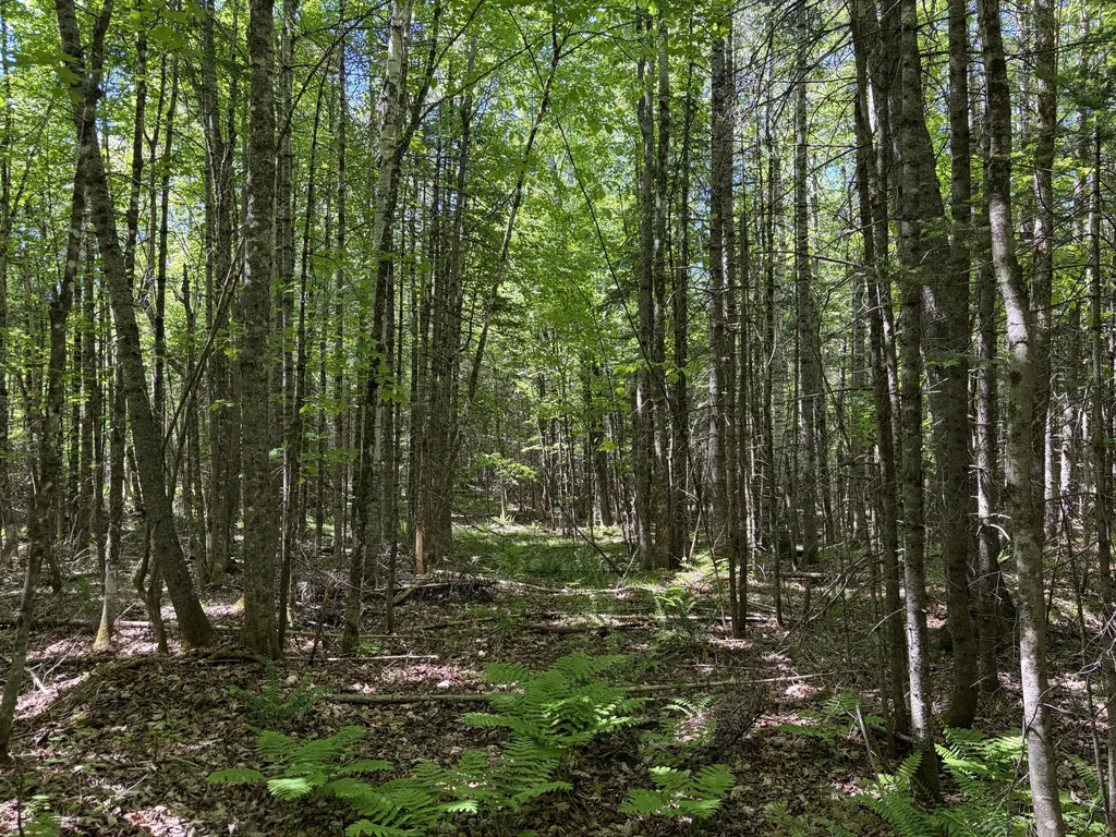 Lot 1 Holley Road Farmington ME 04938