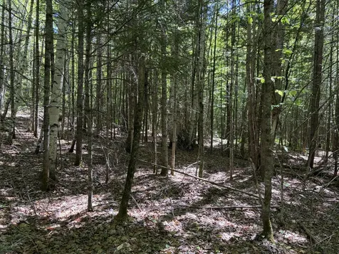 Lot 1 Holley Road Farmington ME 04938