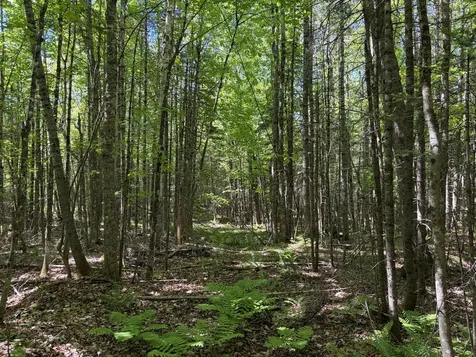 Lot 1 Holley Road Farmington ME 04938