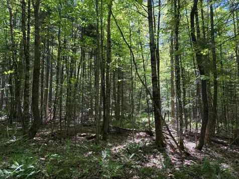 Lot 1 Holley Road Farmington ME 04938