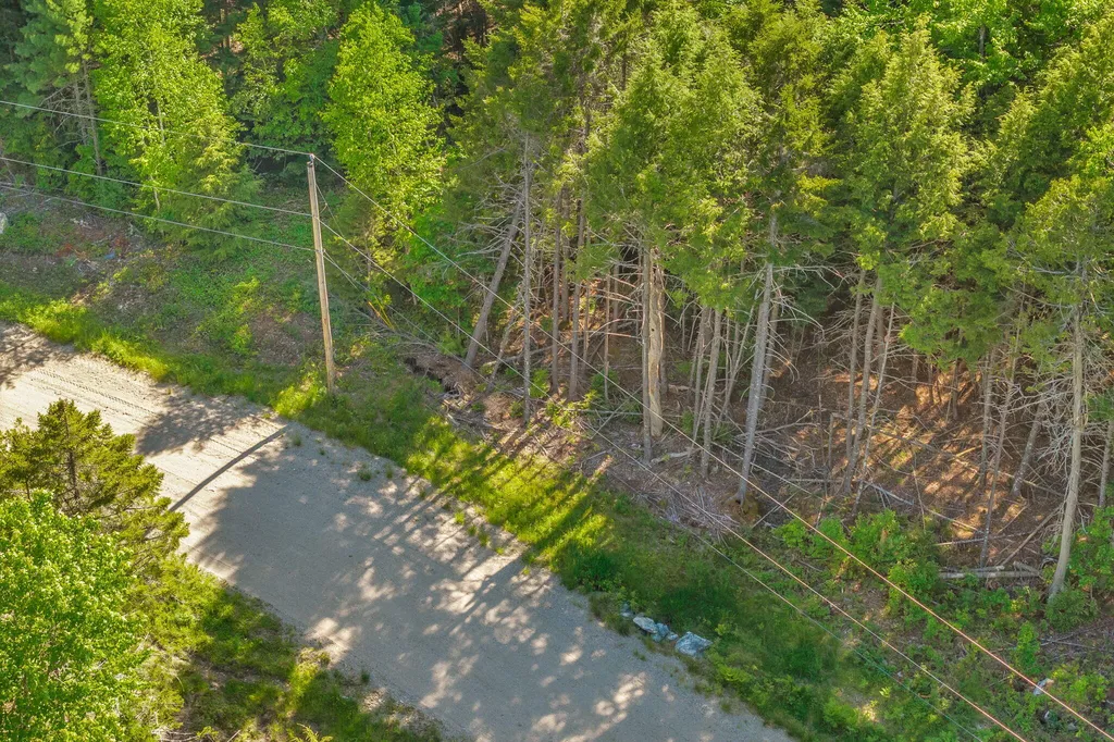 Lot 58 Bufford Drive Waltham ME 04605