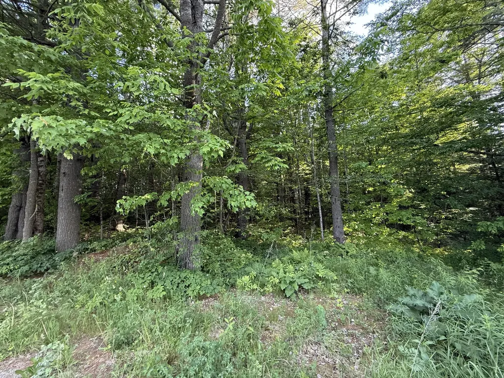 026A Belmont Avenue Belfast ME 04915