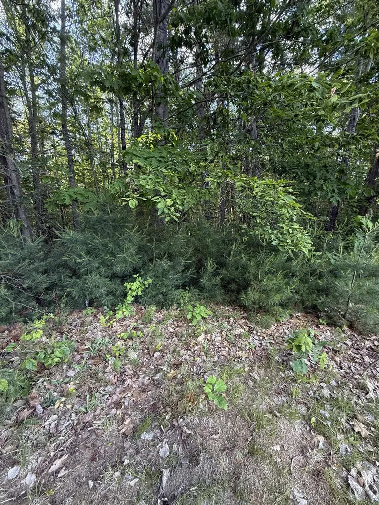 026A Belmont Avenue Belfast ME 04915