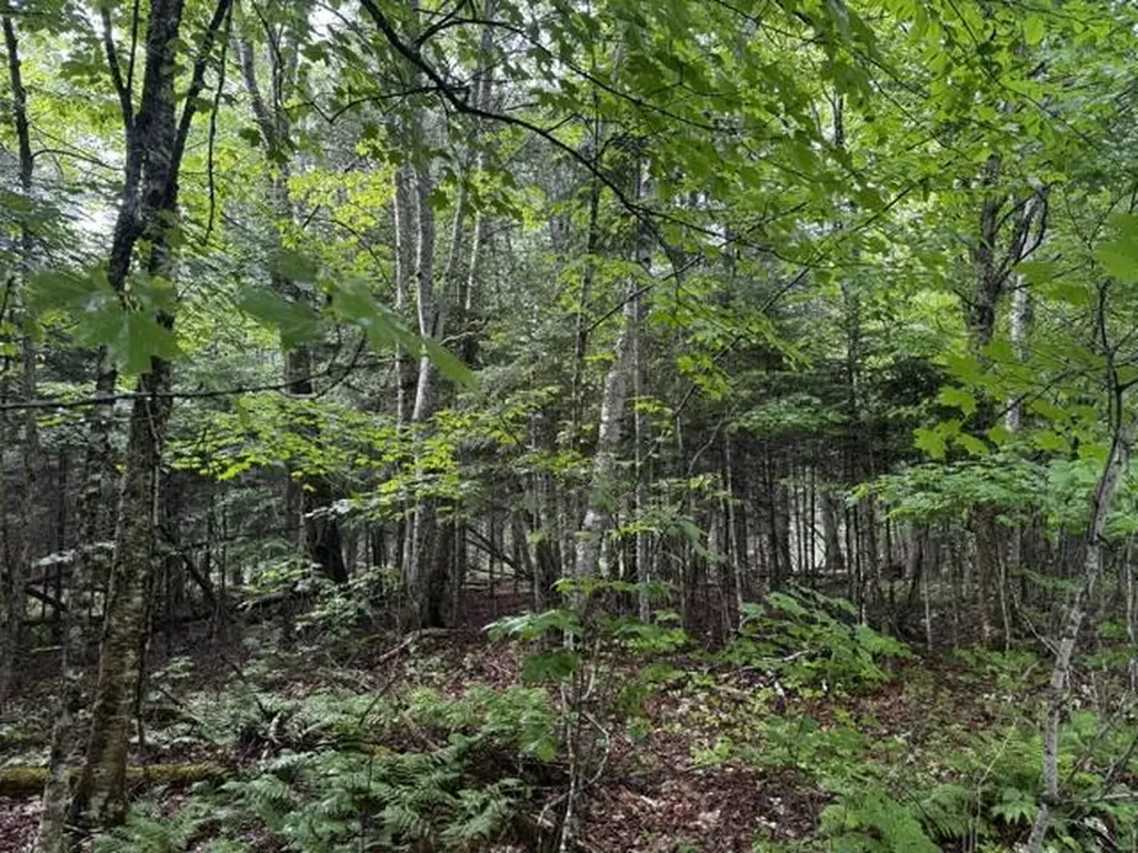 44 Dore Hill Road Athens ME 04912