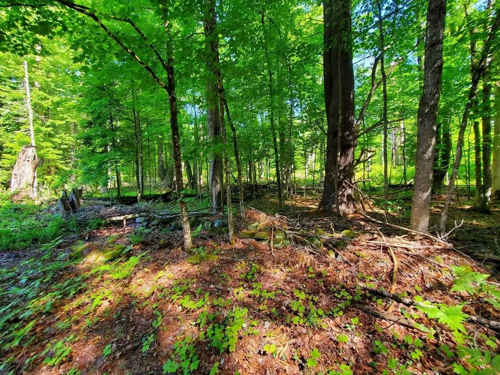 92 Huff Road Cornville ME 04976